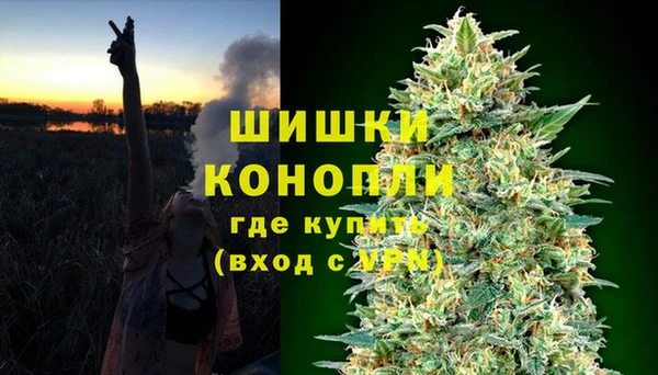 СК Михайлов