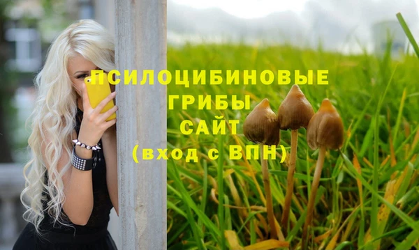 СК Михайлов